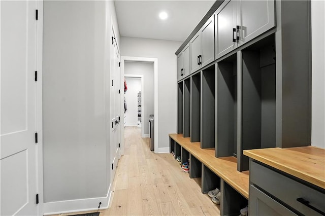 8422 NE 147th St, Liberty, MO 64068 - mudroom featuring light wood-style flooring and recessed lighting