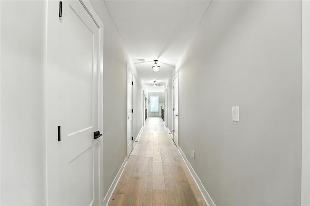 8422 NE 147th St, Liberty, MO 64068 - hallway featuring light wood finished floors and baseboards