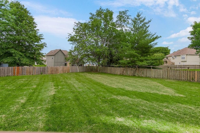 1129 SW Georgetown Dr, Lees Summit, MO 64082 - view of yard