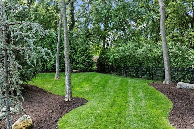 11110 W 146th Ter, Overland Park, KS 66221 - view of yard