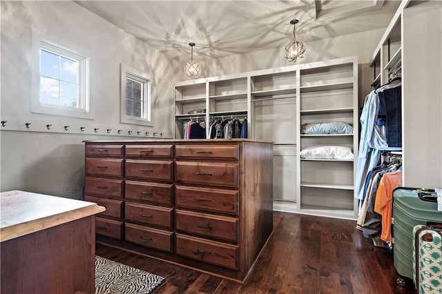 11110 W 146th Ter, Overland Park, KS 66221 - walk in closet with dark wood-style flooring