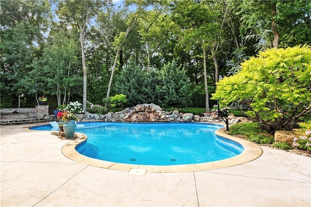 11110 W 146th Ter, Overland Park, KS 66221 - swimming pool featuring view of scattered trees and a patio