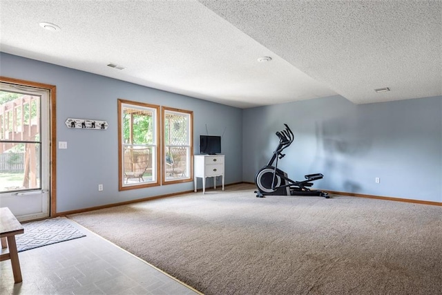 190 W Colleen Ct, Gardner, KS 66030 - workout room with a textured ceiling and carpet floors