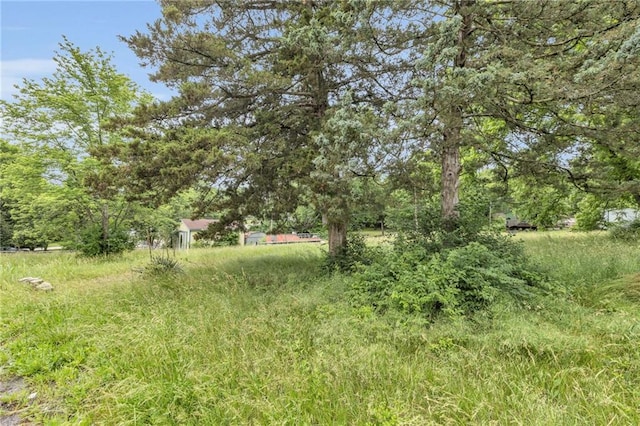 8036 Bellefontaine Ave, Kansas City, MO 64132 - view of yard