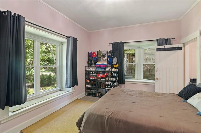 508 S Elm St, Ottawa, KS 66067 - carpeted bedroom featuring ornamental molding and multiple windows