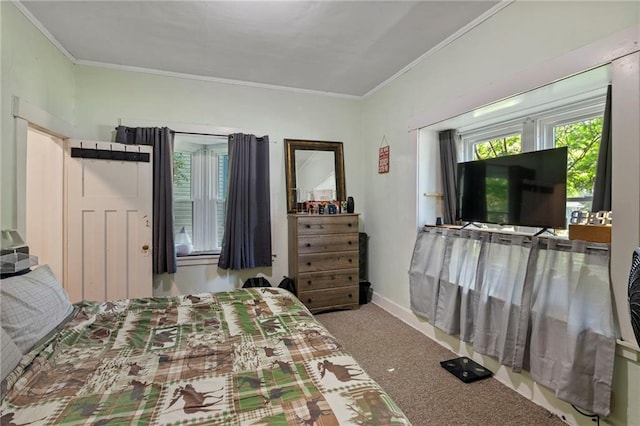 508 S Elm St, Ottawa, KS 66067 - bedroom featuring crown molding and carpet floors