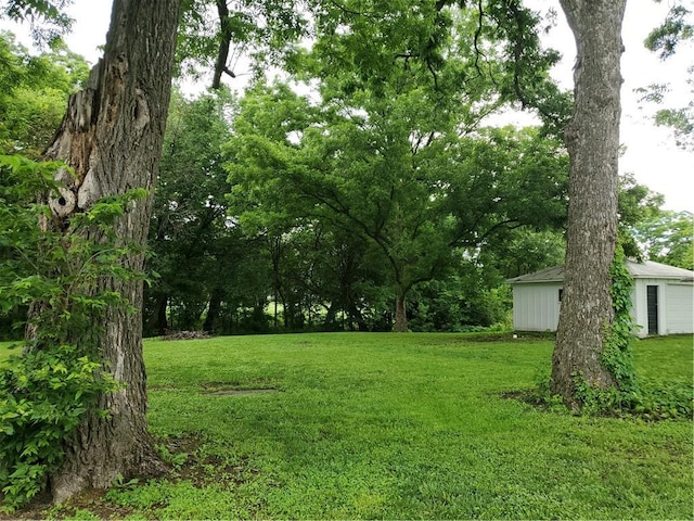 304 Swan St, Lacygne, KS 66040 - view of grassy yard