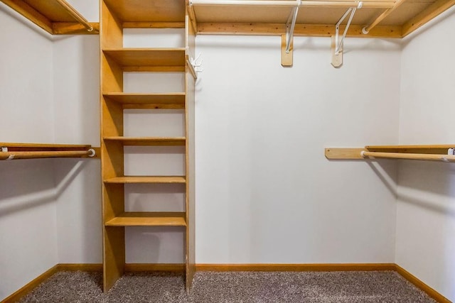 733 NE Colleen Dr, Lees Summit, MO 64086 - walk in closet with carpet floors