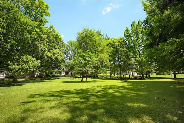 7616 Elm Ave, Kansas City, MO 64138 - photo 20