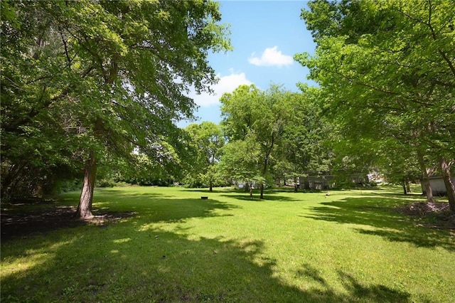 7616 Elm Ave, Kansas City, MO 64138 - photo 22