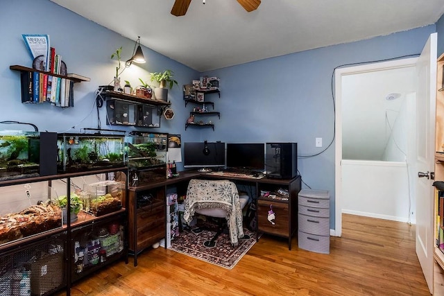 255 N Michigan St Unit 90, Lawrence, KS 66044 - office space with wood finished floors and a ceiling fan