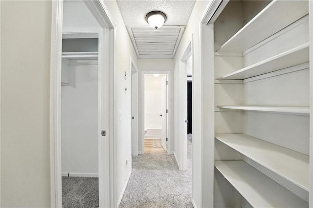 2903 E 107th Ter, Kansas City, MO 64137 - hallway with carpet floors and baseboards