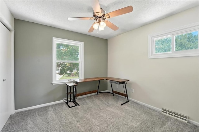 2903 E 107th Ter, Kansas City, MO 64137 - unfurnished office with plenty of natural light, carpet floors, a ceiling fan, and a textured ceiling