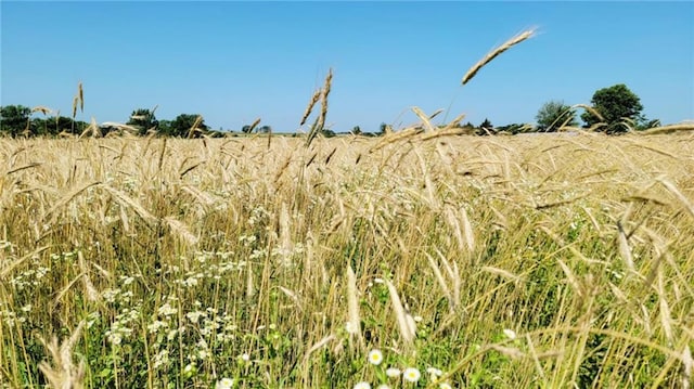 18400 Keitel Rd, Parker, KS 66072 - view of undeveloped land
