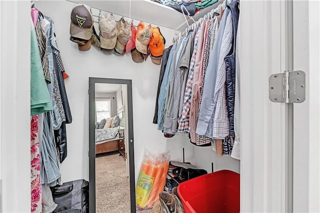 33383 Acorn Ln, Warsaw, MO 65355 - walk in closet with carpet floors