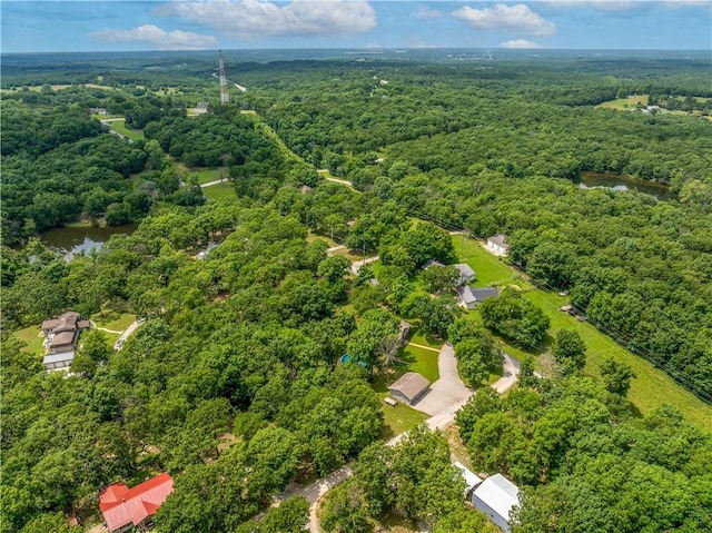 33383 Acorn Ln, Warsaw, MO 65355 - bird's eye view of a forest