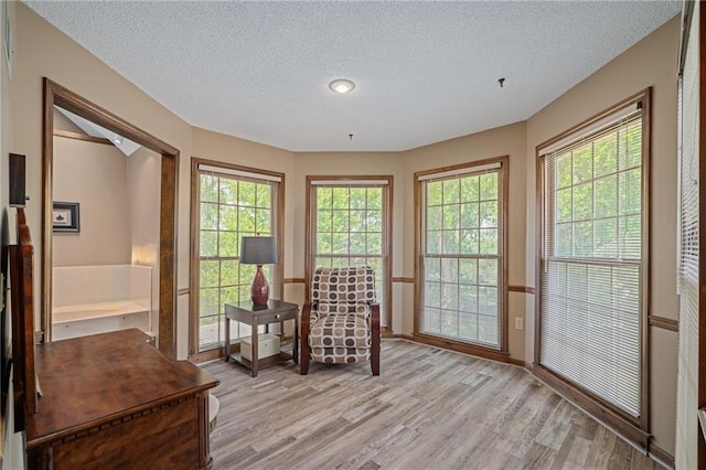 11530 Hemlock St, Overland Park, KS 66210 - living area with light wood-style flooring, a textured ceiling, and plenty of natural light