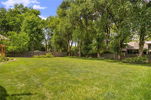 11530 Hemlock St, Overland Park, KS 66210 - view of fenced backyard