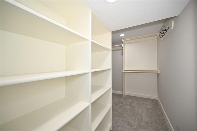 6309 E 102nd Ter, Kansas City, MO 64134 - spacious closet featuring carpet floors