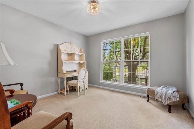4116 NE 83rd St, Kansas City, MO 64119 - office area featuring carpet flooring and baseboards