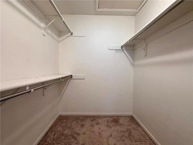 15598 S Blackfeather St, Olathe, KS 66062 - walk in closet featuring carpet