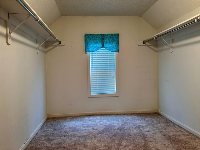 15598 S Blackfeather St, Olathe, KS 66062 - walk in closet with vaulted ceiling and carpet floors