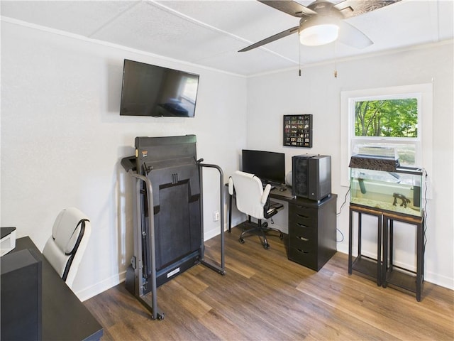 307 E 4th St, Holden, MO 64040 - office space featuring wood finished floors and ceiling fan