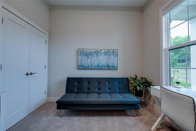 25411 W 142nd Pl, Olathe, KS 66061 - living area featuring carpet