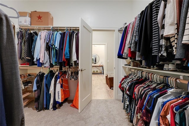 25411 W 142nd Pl, Olathe, KS 66061 - spacious closet featuring carpet