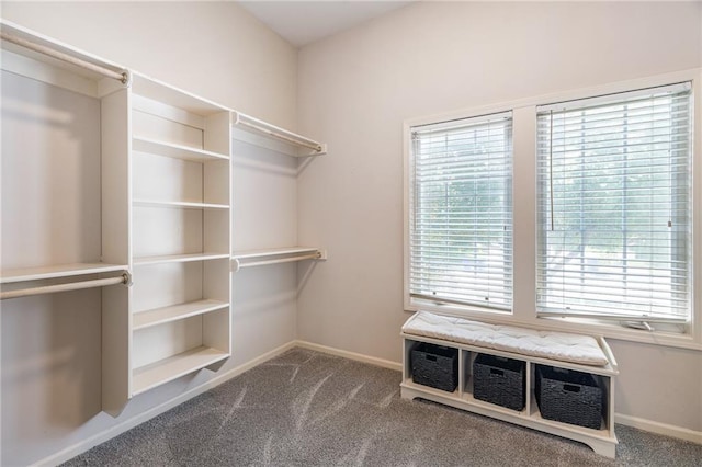 14740 W 128th St, Olathe, KS 66062 - spacious closet featuring carpet flooring