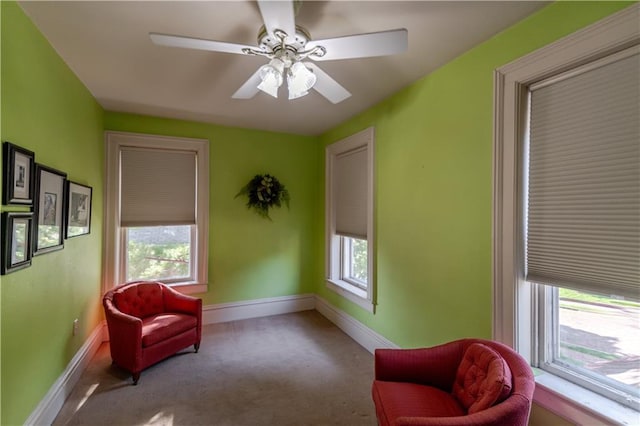 320 Parallel St, Atchison, KS 66002 - photo 50