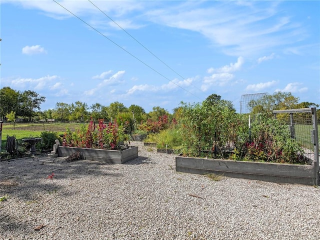21318 S Briar Rd, Peculiar, MO 64078 - view of yard featuring a vegetable garden