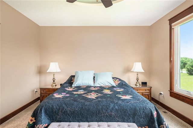 26793 W 100th Pl, Olathe, KS 66061 - bedroom with multiple windows, carpet, and a ceiling fan