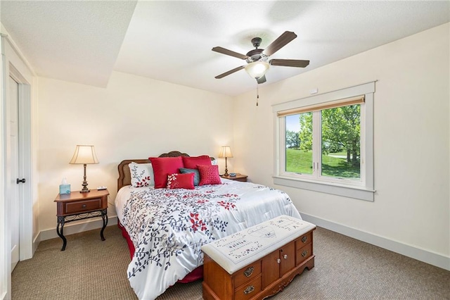 26793 W 100th Pl, Olathe, KS 66061 - bedroom with light carpet and a ceiling fan