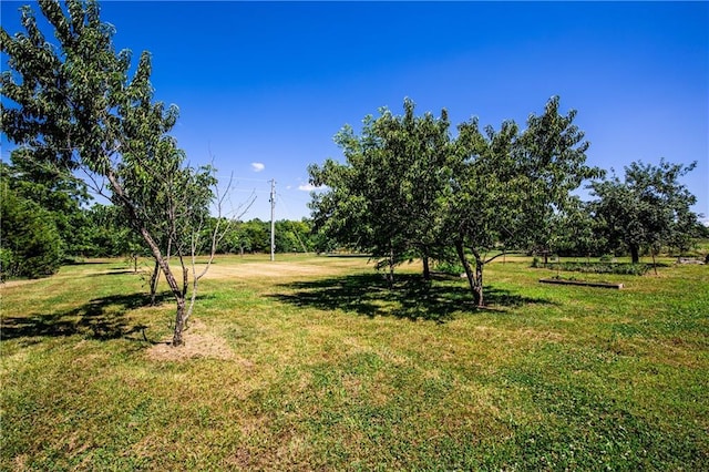 12738 Ks 7 Hwy, Mound City, KS 66056 - photo 8