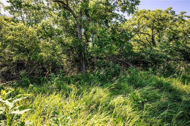 12738 Ks 7 Hwy, Mound City, KS 66056 - photo 30