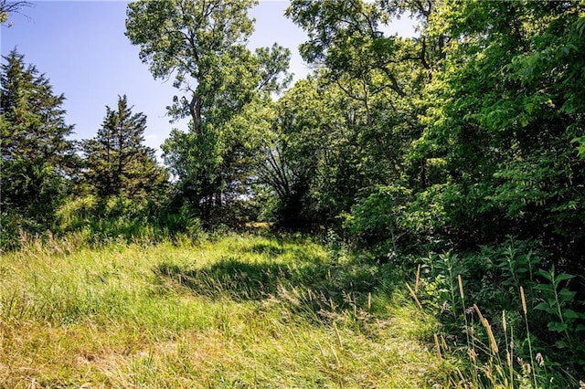 12738 Ks 7 Hwy, Mound City, KS 66056 - photo 31