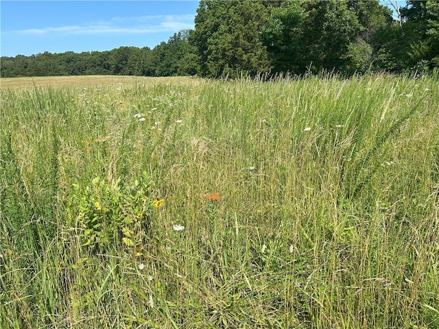 E 54 Highway, El Dorado Springs, MO 64744