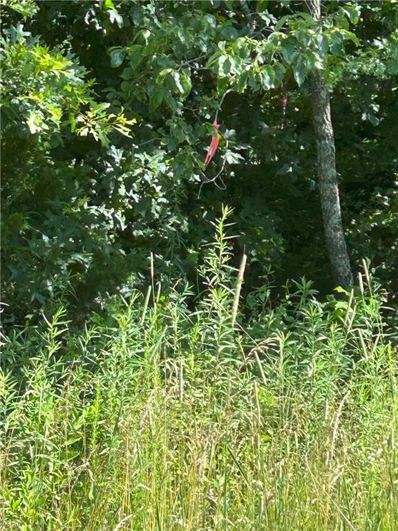 E 54 Highway, El Dorado Springs, MO 64744