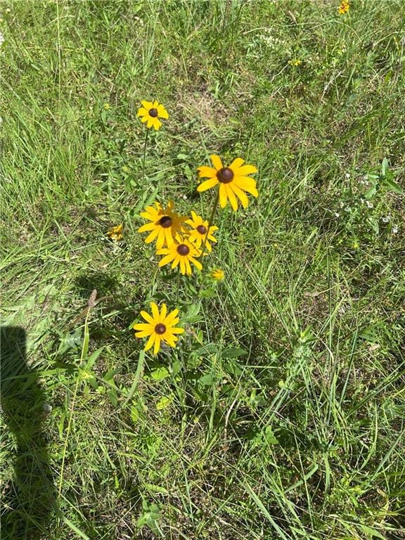 E 54 Highway, El Dorado Springs, MO 64744