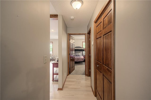 106 Timber Valley Dr, Linn Valley, KS 66040 - corridor with light wood finished floors and a textured ceiling