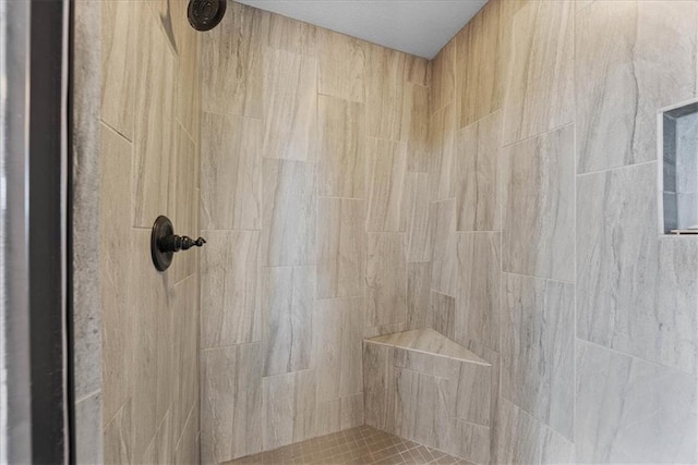 16642 W 165th St, Olathe, KS 66062 - bathroom view of a tile shower
