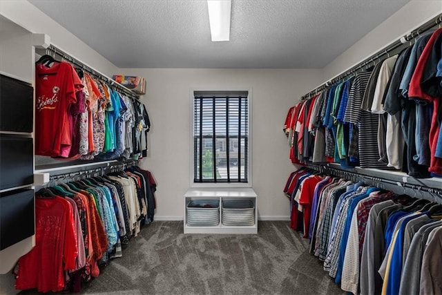16642 W 165th St, Olathe, KS 66062 - spacious closet featuring carpet floors