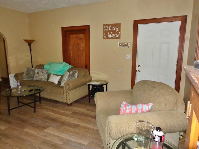 1915 S Elm St, Pittsburg, KS 66762 - living room with light wood-type flooring
