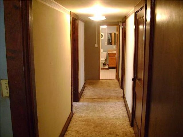 1915 S Broadway St, Pittsburg, KS 66762 - corridor featuring light colored carpet and baseboards