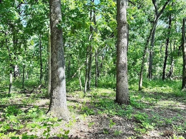 TBD E 500th Rd, Humansville, MO 65674
