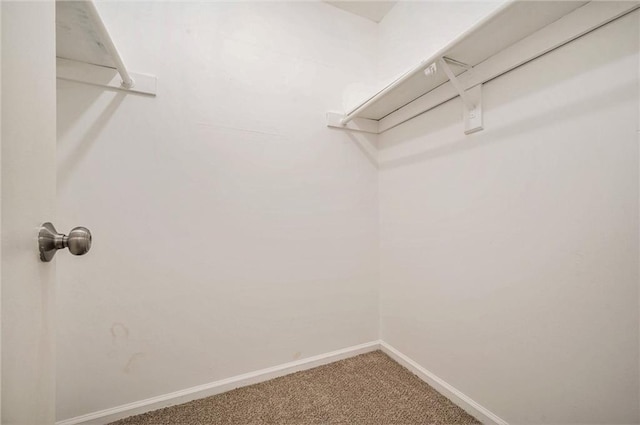 109 NE Locust St, Blue Springs, MO 64014 - walk in closet with carpet