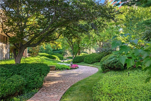 2525 Main St Unit 305, Kansas City, MO 64108 - view of home's community