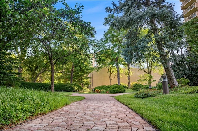 2525 Main St Unit 305, Kansas City, MO 64108 - view of property's community