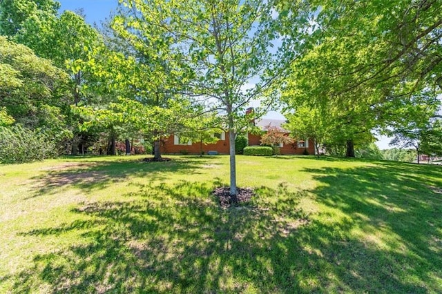 601 Darrow St, Warrensburg, MO 64093 - view of green lawn